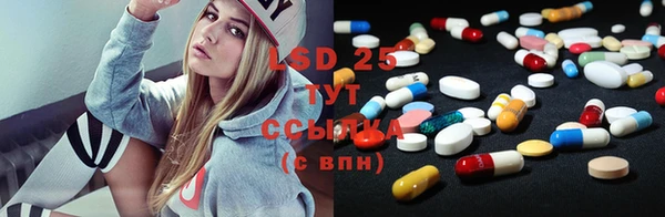 ПСИЛОЦИБИНОВЫЕ ГРИБЫ Алексеевка